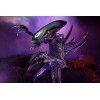 Neca Alien vs Predator - Alien Realistic Appearance - Set completo di 3 figure