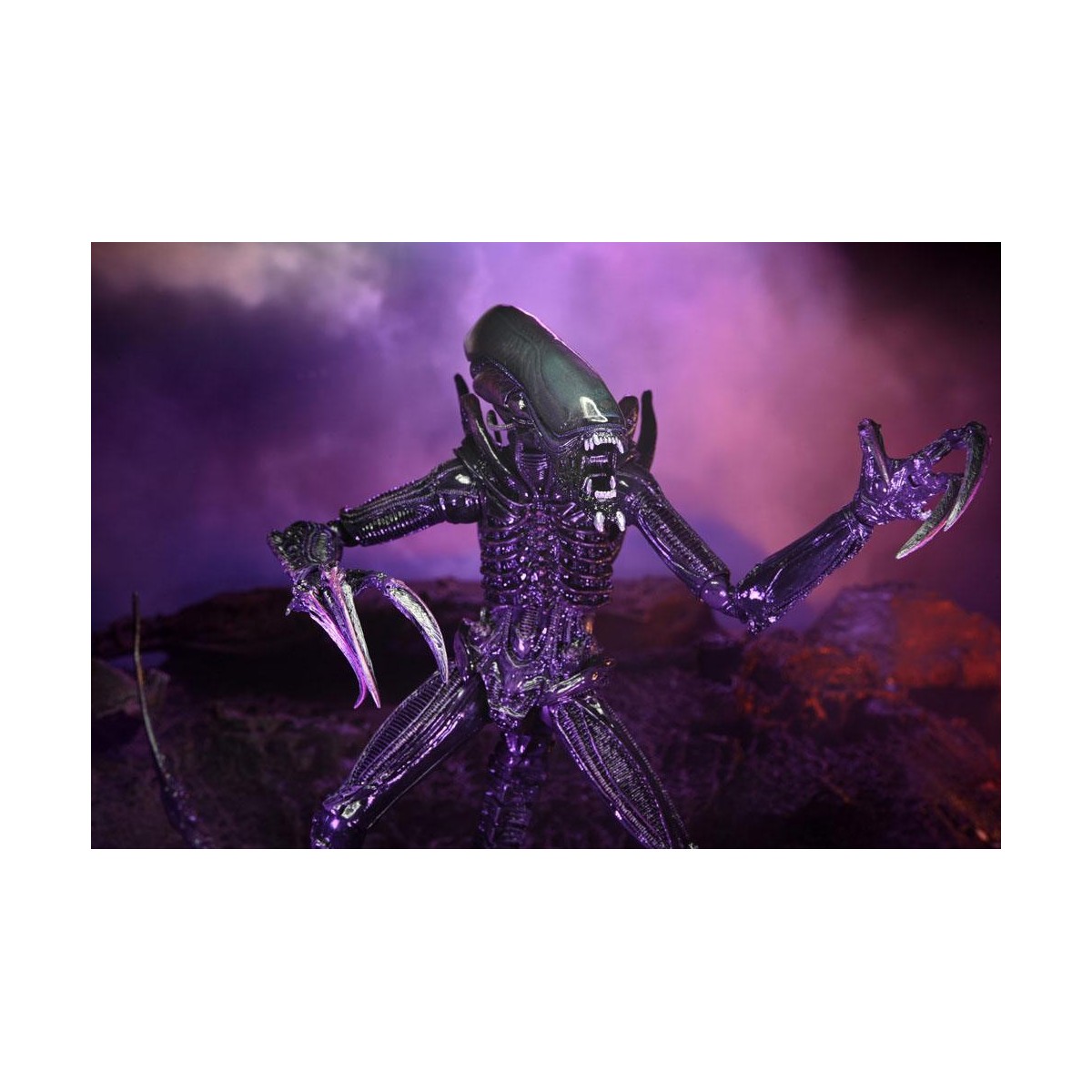 Neca Alien vs Predator - Alien Realistic Appearance - Set completo di 3 figure