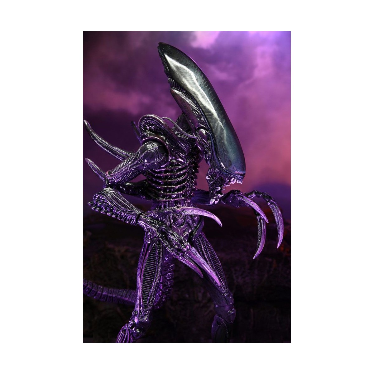 Neca Alien vs Predator - Alien Realistic Appearance - Set completo di 3 figure
