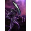 Neca Alien vs Predator - Alien Realistic Appearance - Set completo di 3 figure