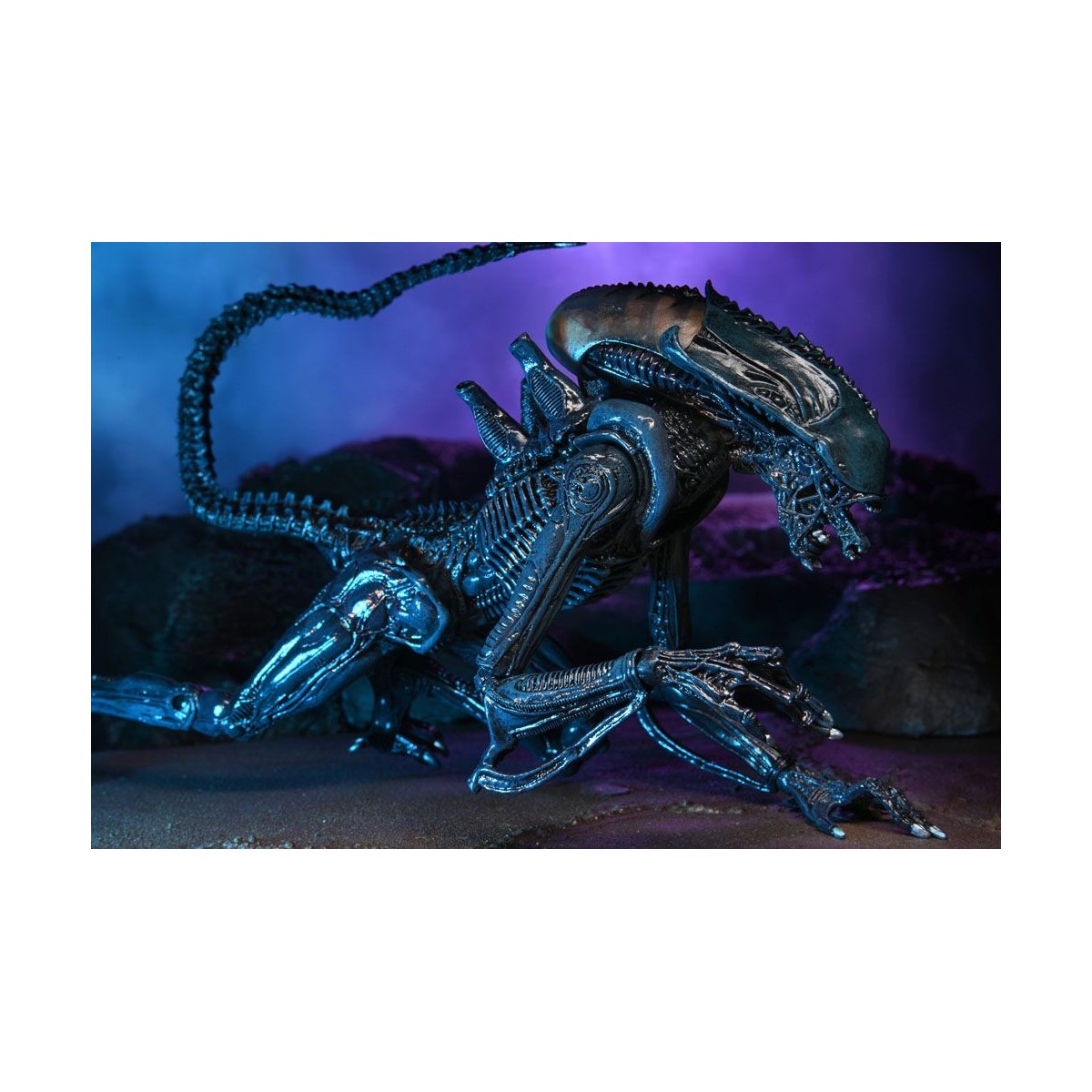 Neca Alien vs Predator - Alien Realistic Appearance - Set completo di 3 figure
