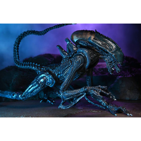 Neca Alien vs Predator - Alien Realistic Appearance - Set completo di 3 figure