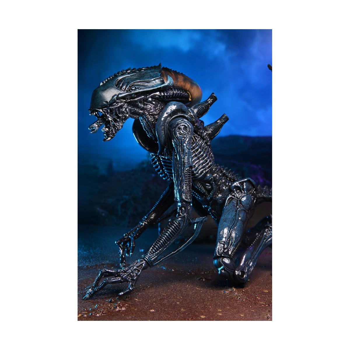 Neca Alien vs Predator - Alien Realistic Appearance - Set completo di 3 figure