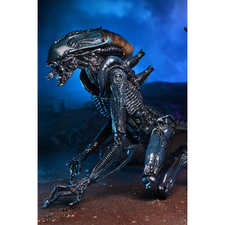 Neca Alien vs Predator - Alien Realistic Appearance - Set completo di 3 figure