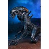 Neca Alien vs Predator - Alien Realistic Appearance - Set completo di 3 figure