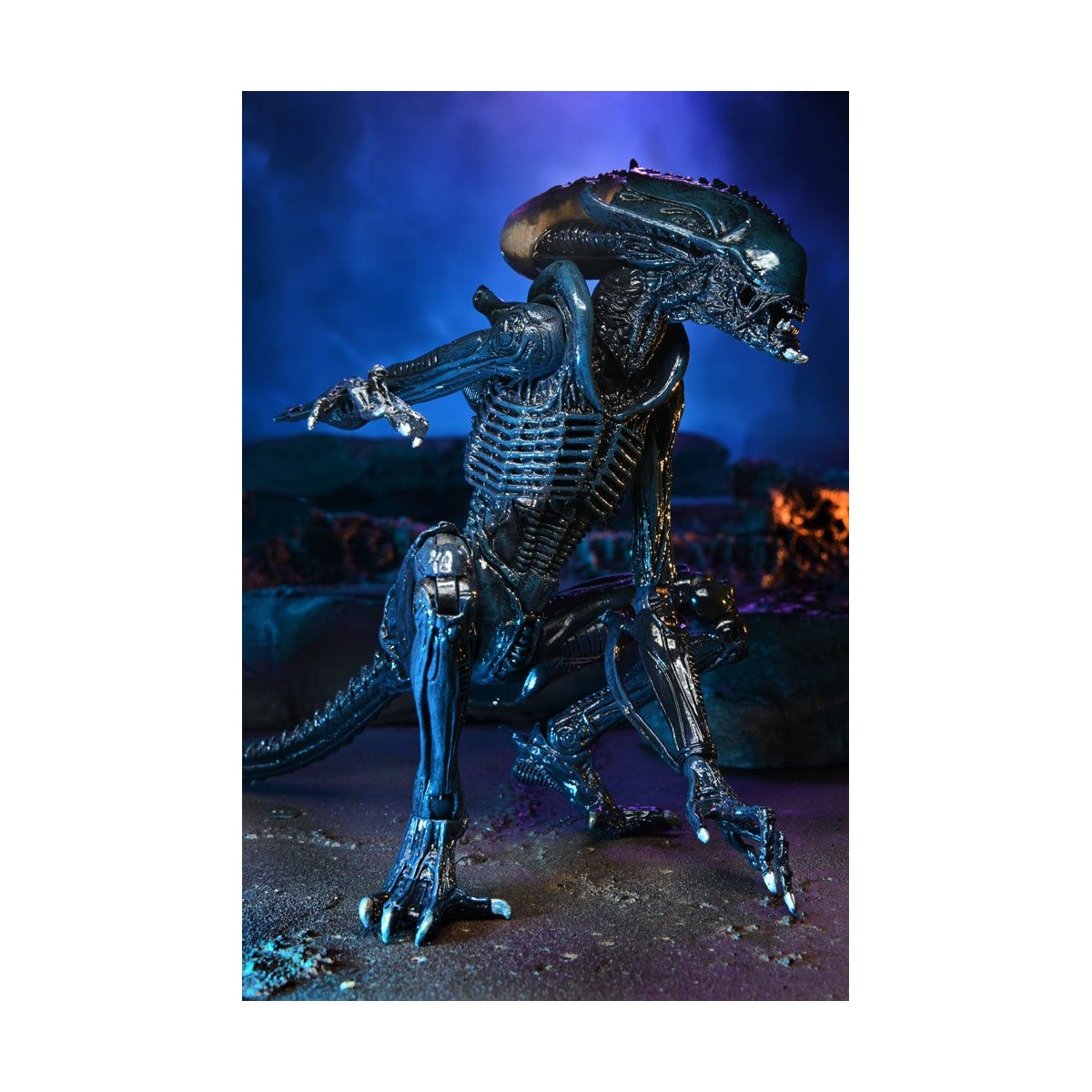 Neca Alien vs Predator - Alien Realistic Appearance - Set completo di 3 figure