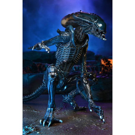 Neca Alien vs Predator - Alien Realistic Appearance - Set completo di 3 figure