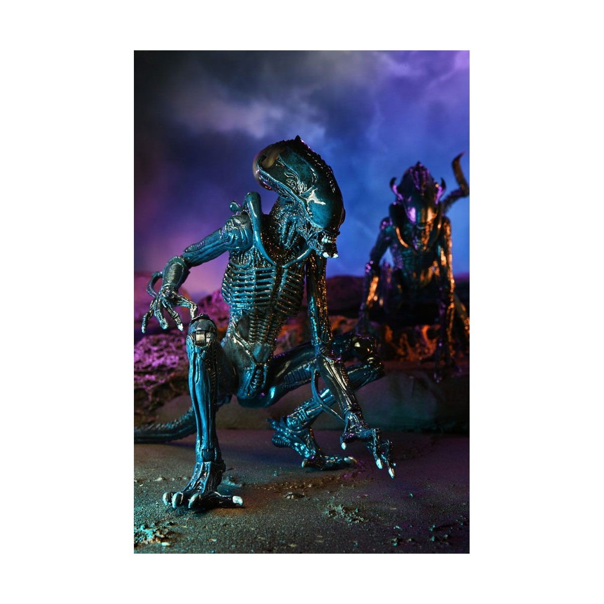 Neca Alien vs Predator - Alien Realistic Appearance - Set completo di 3 figure