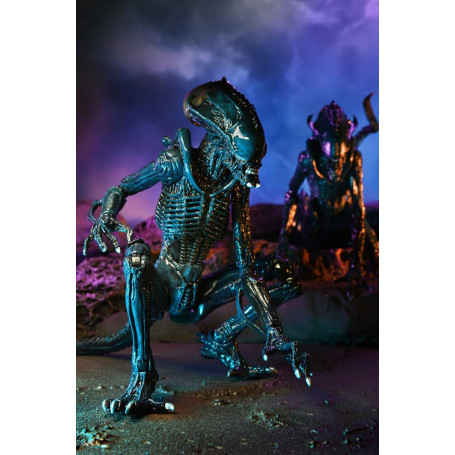 Neca Alien vs Predator - Alien Realistic Appearance - Set completo di 3 figure
