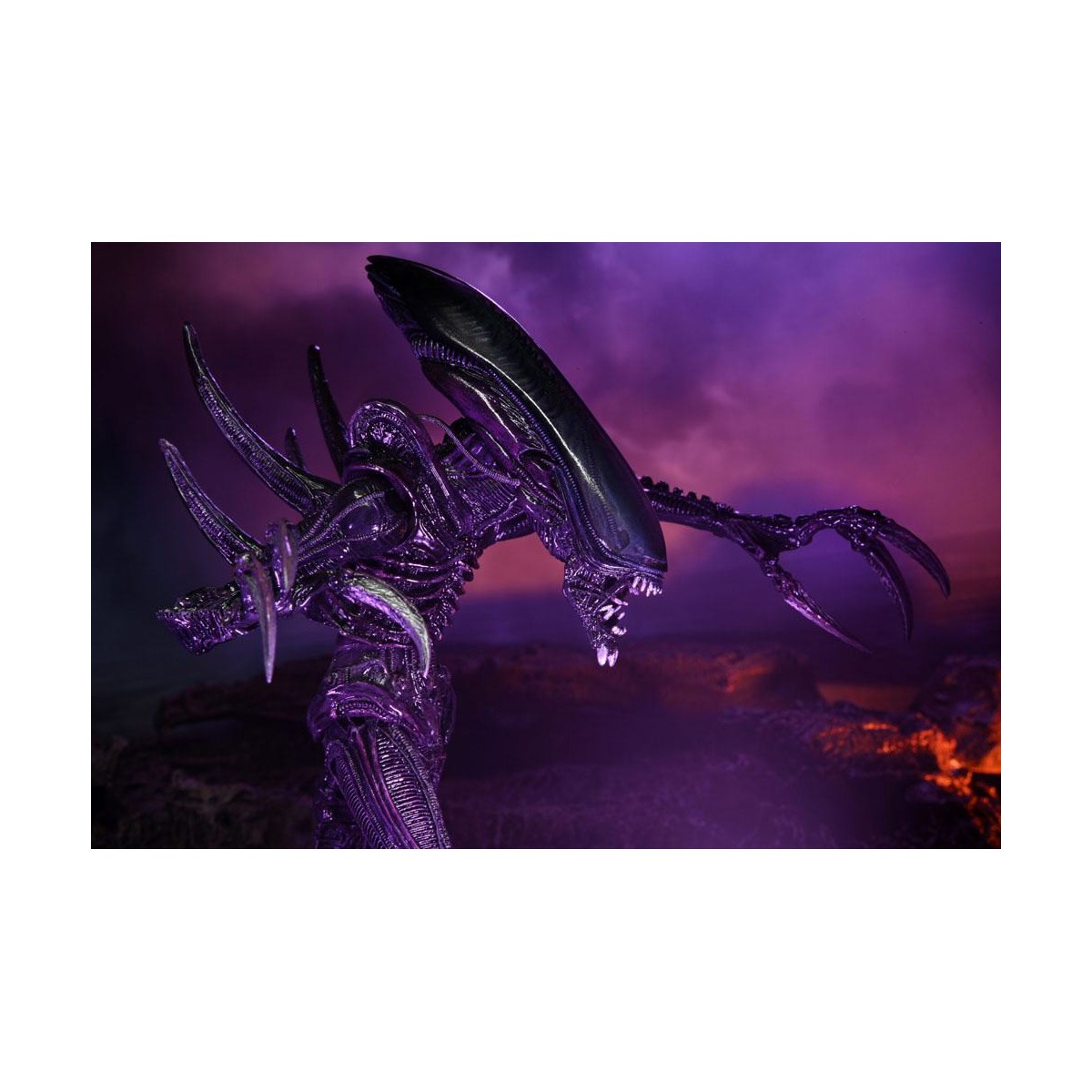 Neca Alien vs Predator - Alien Realistic Appearance - Set completo di 3 figure