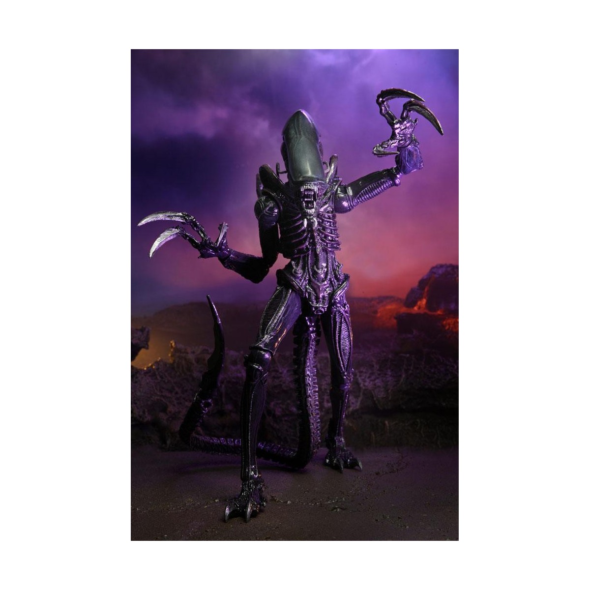 Neca Alien vs Predator - Alien Realistic Appearance - Set completo di 3 figure