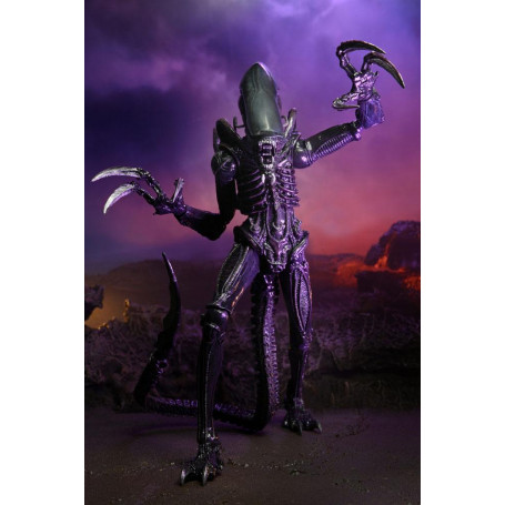 Neca Alien vs Predator - Alien Realistic Appearance - Set completo di 3 figure