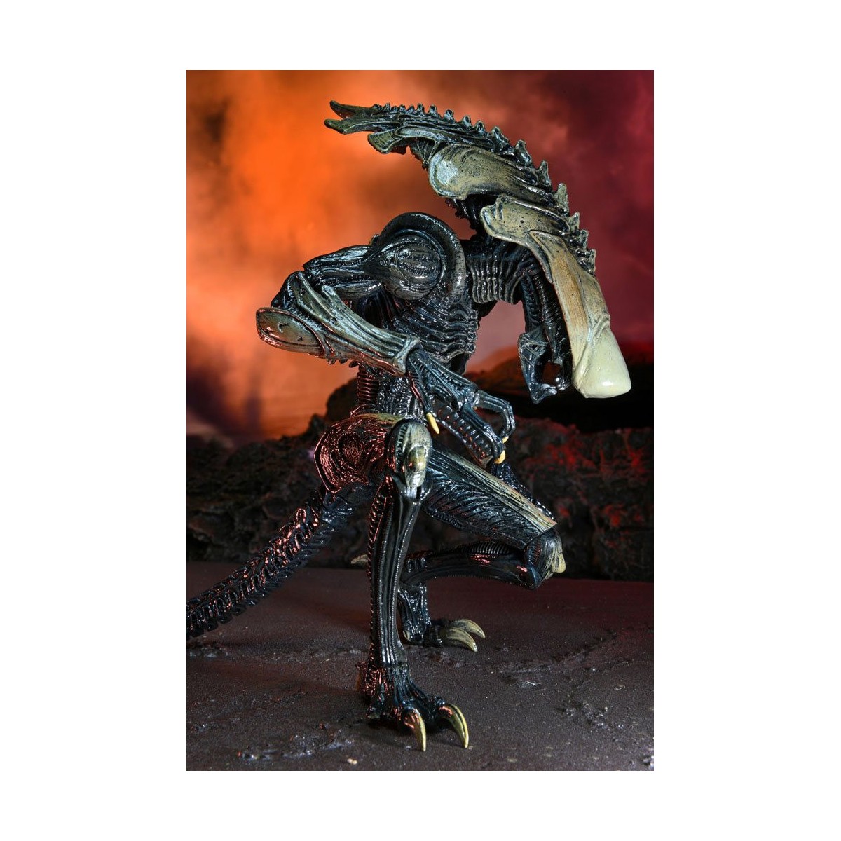 Neca Alien vs Predator - Alien Realistic Appearance - Set completo di 3 figure