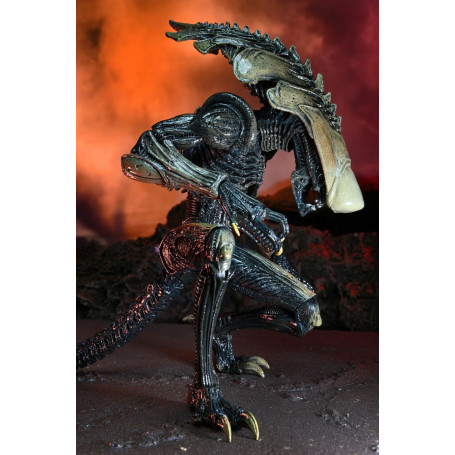 Neca Alien vs Predator - Alien Realistic Appearance - Set completo di 3 figure