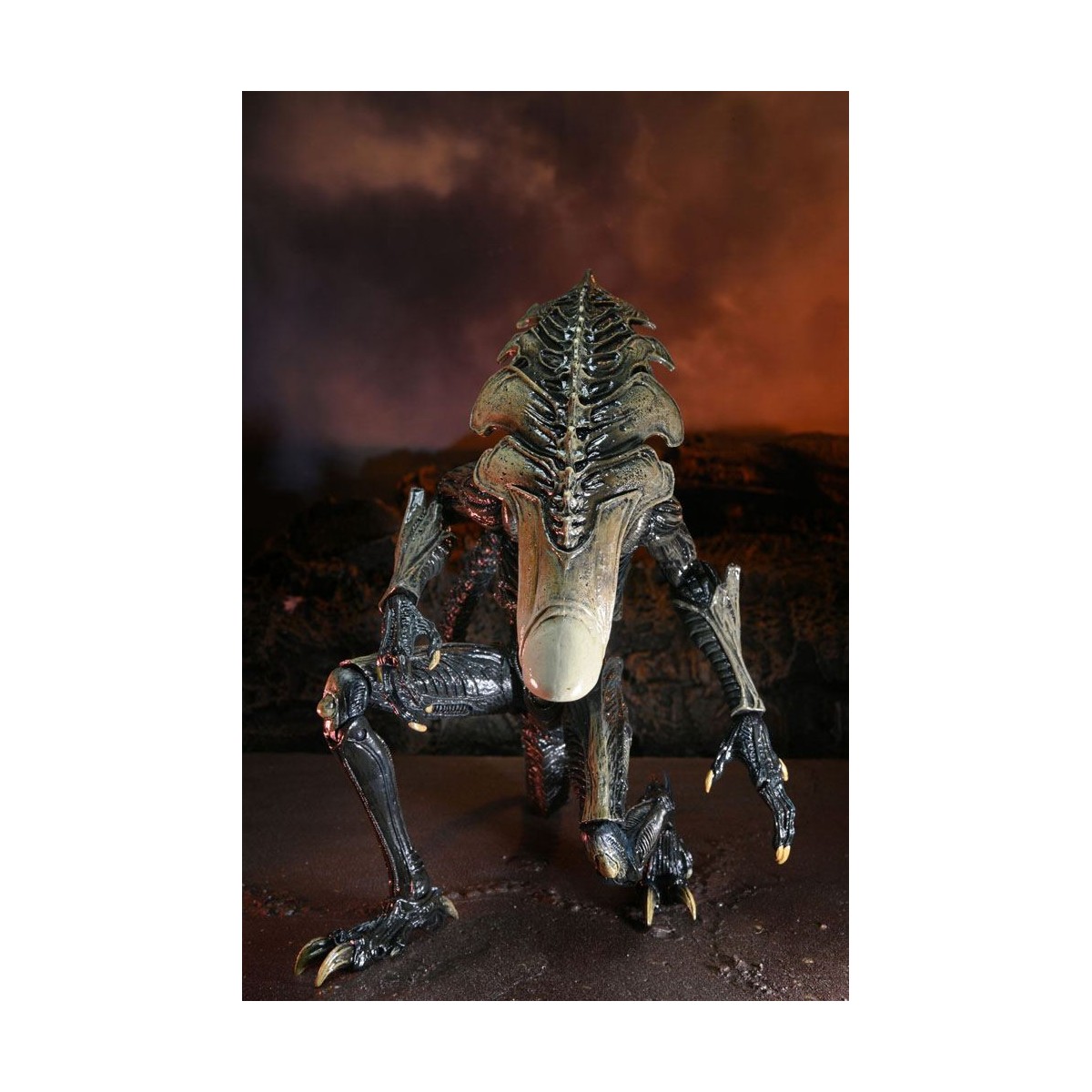 Neca Alien vs Predator - Alien Realistic Appearance - Set completo di 3 figure