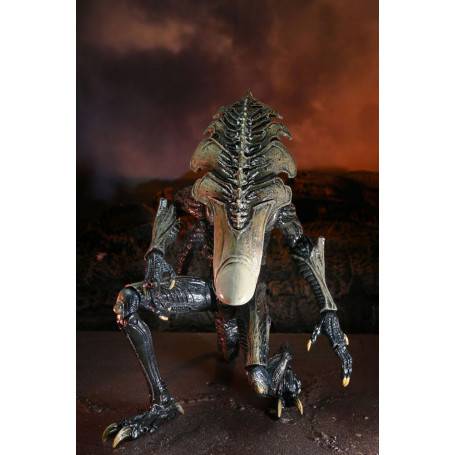 Neca Alien vs Predator - Alien Realistic Appearance - Set completo di 3 figure