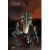 Neca Alien vs Predator - Alien Realistic Appearance - Set completo di 3 figure
