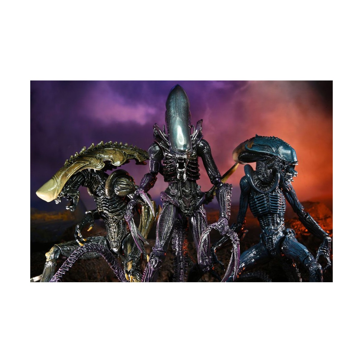 Neca Alien vs Predator - Alien Realistic Appearance - Set completo di 3 figure