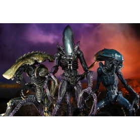 Neca Alien vs Predator - Alien Realistic Appearance - Set completo di 3 figure
