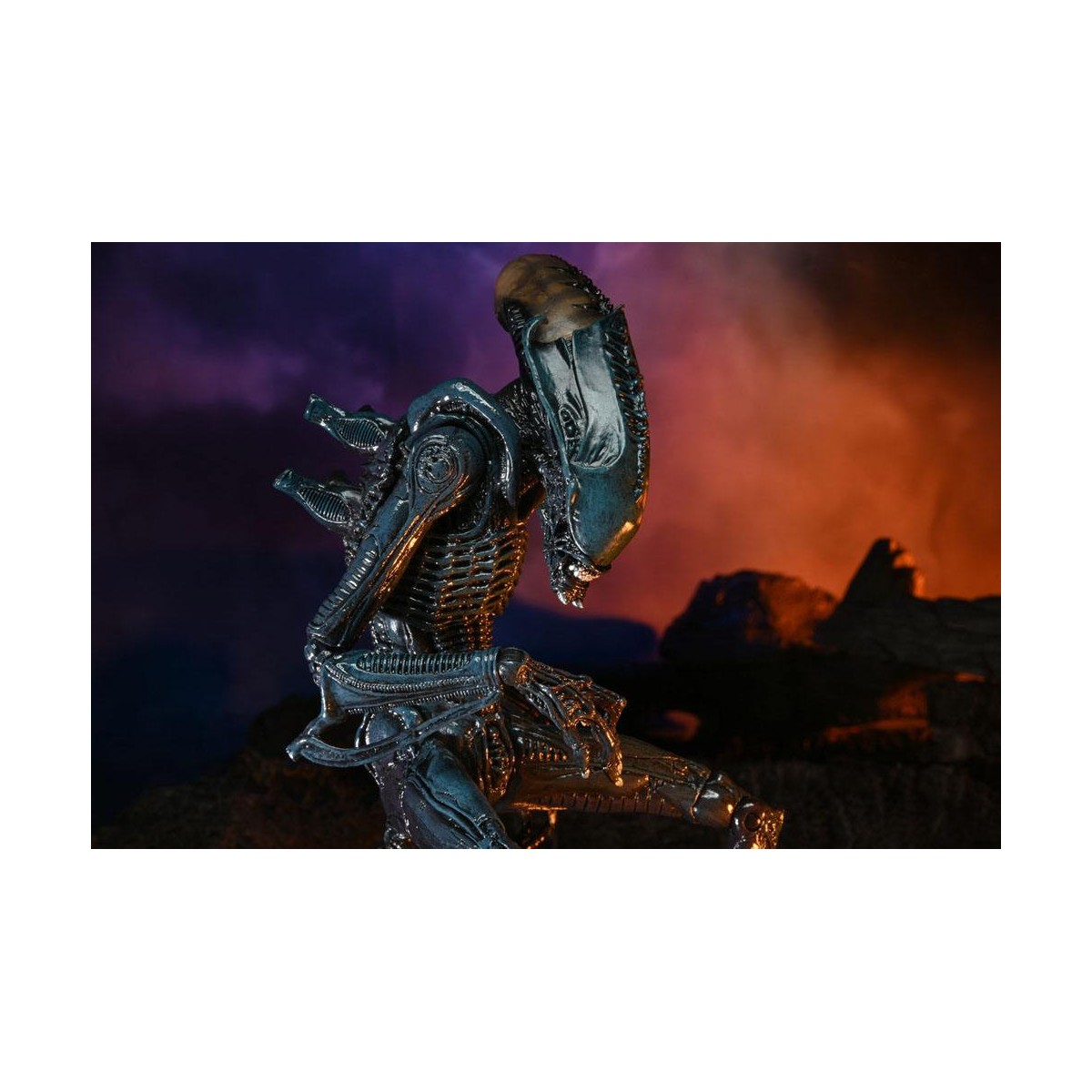 Neca Alien vs Predator - Alien Realistic Appearance - Set completo di 3 figure