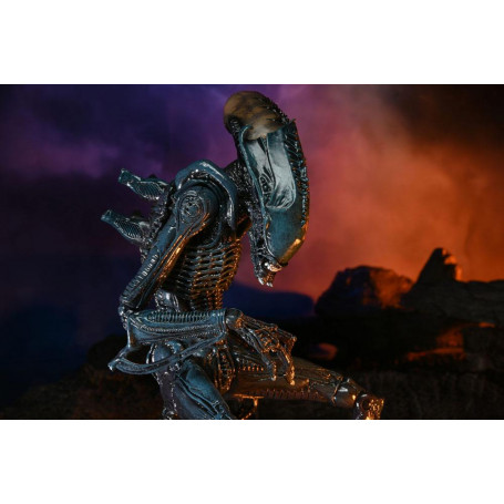 Neca Alien vs Predator - Alien Realistic Appearance - Set completo di 3 figure