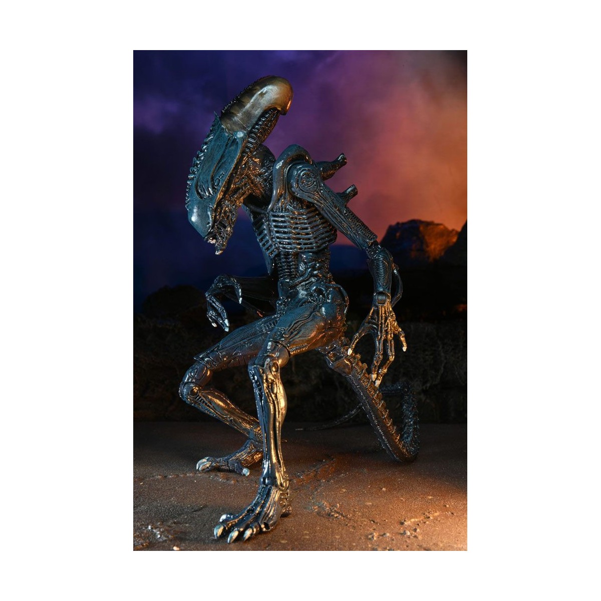 Neca Alien vs Predator - Alien Realistic Appearance - Set completo di 3 figure