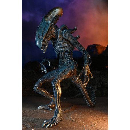 Neca Alien vs Predator - Alien Realistic Appearance - Set completo di 3 figure