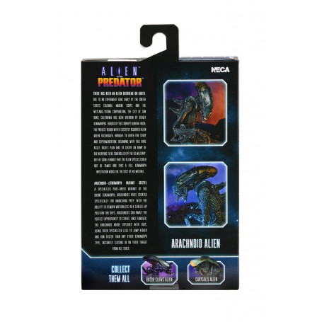 Neca Alien vs Predator - Alien Realistic Appearance - Set completo di 3 figure
