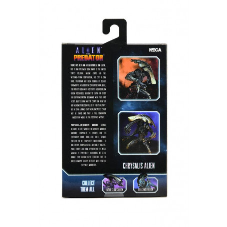 Neca Alien vs Predator - Alien Realistic Appearance - Set completo di 3 figure