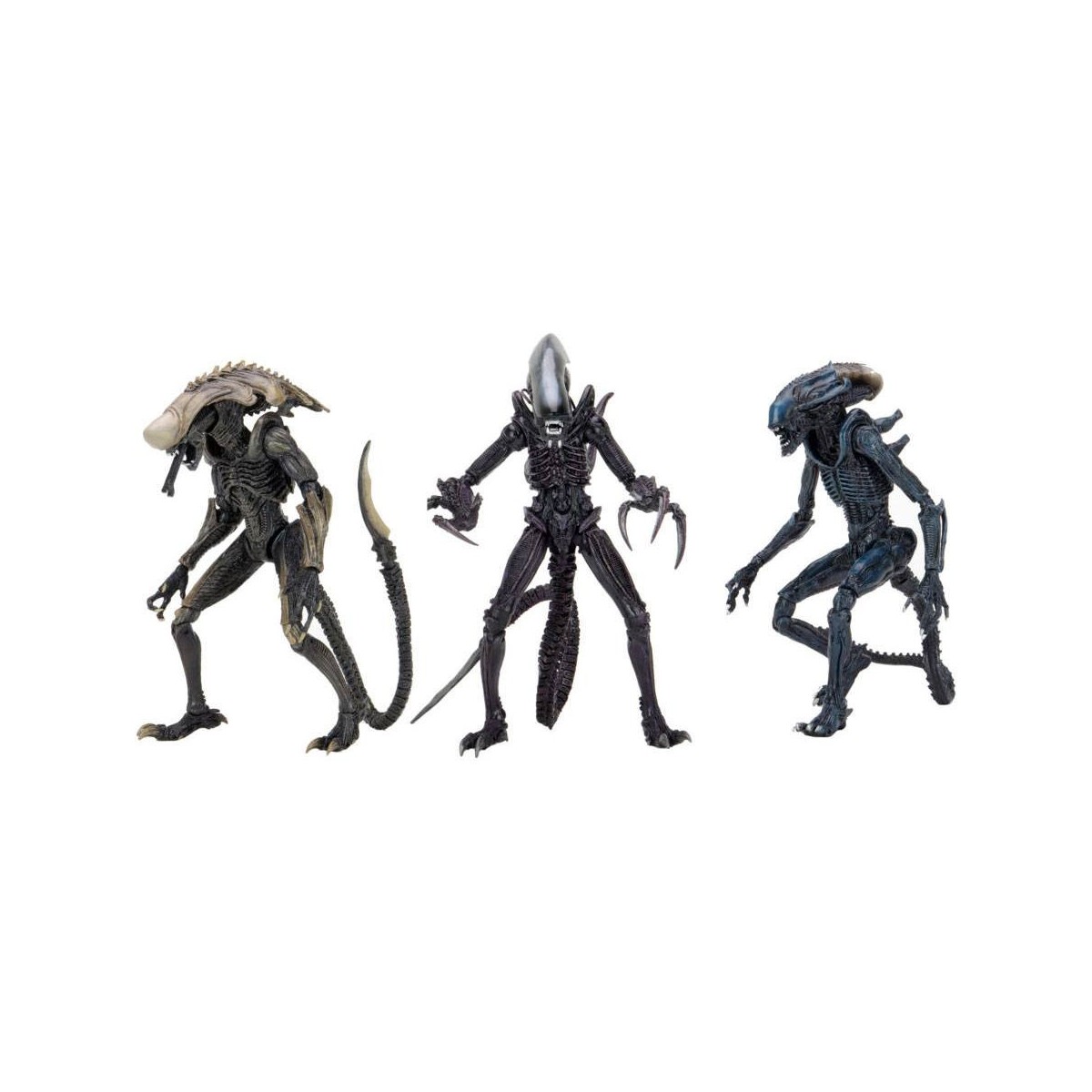 Neca Alien vs Predator - Alien Realistic Appearance - Set completo di 3 figure