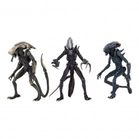 Neca Alien vs Predator - Alien Realistic Appearance - Set completo di 3 figure