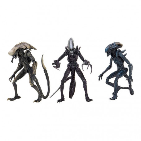 Neca Alien vs Predator - Alien Realistic Appearance - Set completo di 3 figure