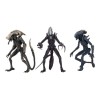 Neca Alien vs Predator - Alien Realistic Appearance - Set completo di 3 figure