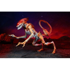 NECA ALIENS - Omaggio Kenner Panther Alien
