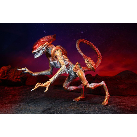 NECA ALIENS - Omaggio Kenner Panther Alien