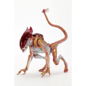 NECA ALIENS - Omaggio Kenner Panther Alien