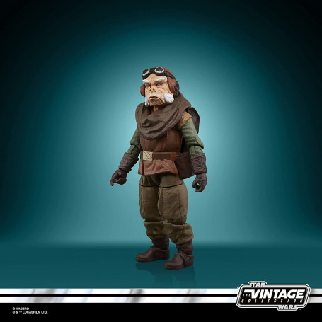 Hasbro - Kuiil - Il Mandaloriano Collezione Star Wars Vintage
