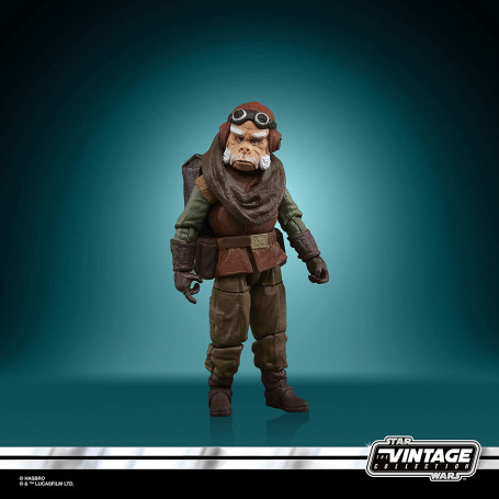 Hasbro - Kuiil - Il Mandaloriano Collezione Star Wars Vintage