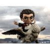 Iron Studios - Harry Potter Mini Co. PVC - Harry Potter & Fierobecco