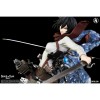 Kitsune - Attacco dei Titani - Mikasa Ackerman 