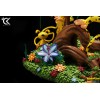 Cartoon Kingdom - Il diorama della famiglia Marsupilami 1/6 