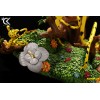 Cartoon Kingdom - Il diorama della famiglia Marsupilami 1/6 