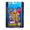 Serie Leggende Marvel - TOAD 20° Anniversario Serie 1 - Hasbro