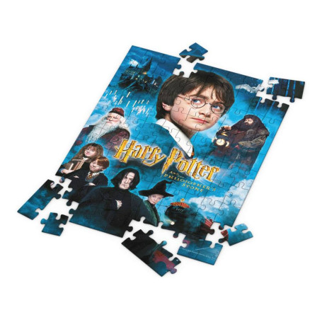 SD Toys - Puzzle HARRY POTTER effetto 3D - Poster Pietra Filosofale - 100 pz