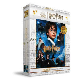 SD Toys - Puzzle HARRY POTTER effetto 3D - Poster Pietra Filosofale - 100 pz