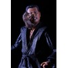 Neca - TMNT - Tartarughe Ninja 2-pack - Guerrieri dell'Ombra OROKU SAKI & HAMATO YOSHI - TMNT Il Film