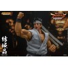 Storm Collectibles - Akira Yuki - Virtua Fighter 5 Ultimate Showdown 1/12