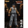 Storm Collectibles - Akira Yuki - Virtua Fighter 5 Ultimate Showdown 1/12