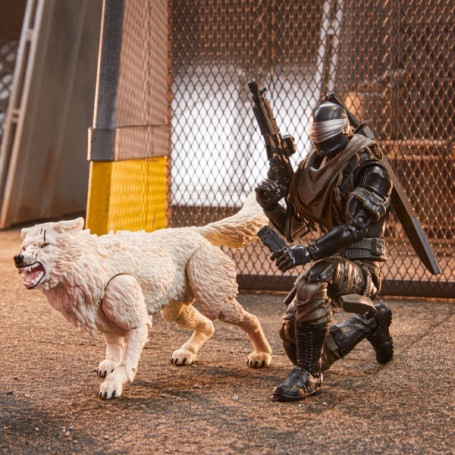 Hasbro G.I.JOE - Set di 2 figure Snake eyes e Timber - Serie Classificata