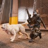 Hasbro G.I.JOE - Set di 2 figure Snake eyes e Timber - Serie Classificata